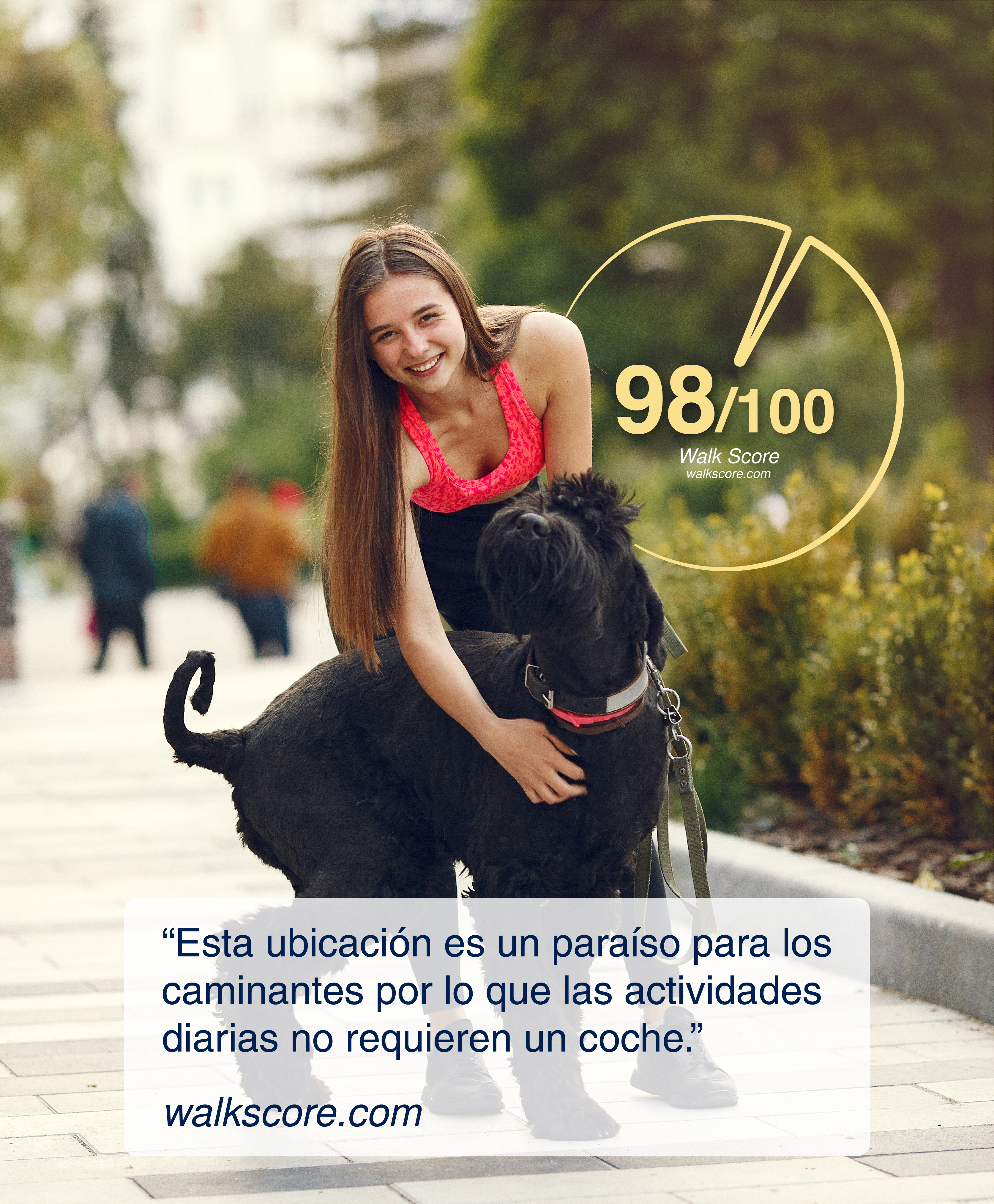 Descripción de Imagen 1